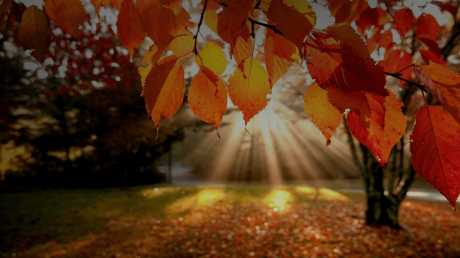 loanscanada.ca urlscan.io