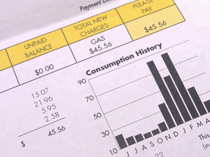 The Costs of Owning a Home