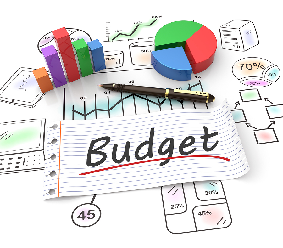 Why do budgets fail?