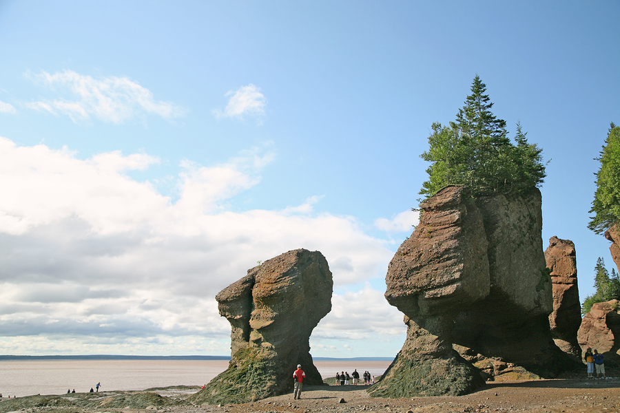 Loans, Credit, Mortgages and Financing in New Brunswick