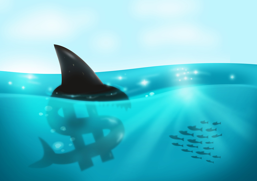 Predatory Borrowers: Victims or Offenders?