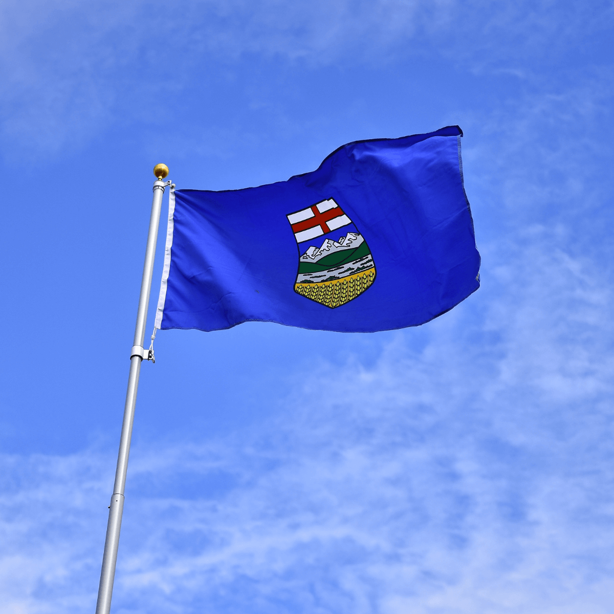 Alberta Minimum Wage 2024 Loans Canada