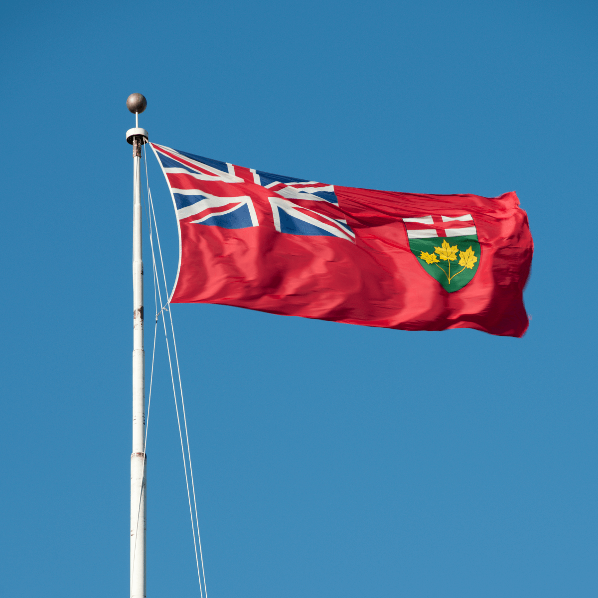 the-minimum-wage-in-ontario-officially-goes-up-next-week