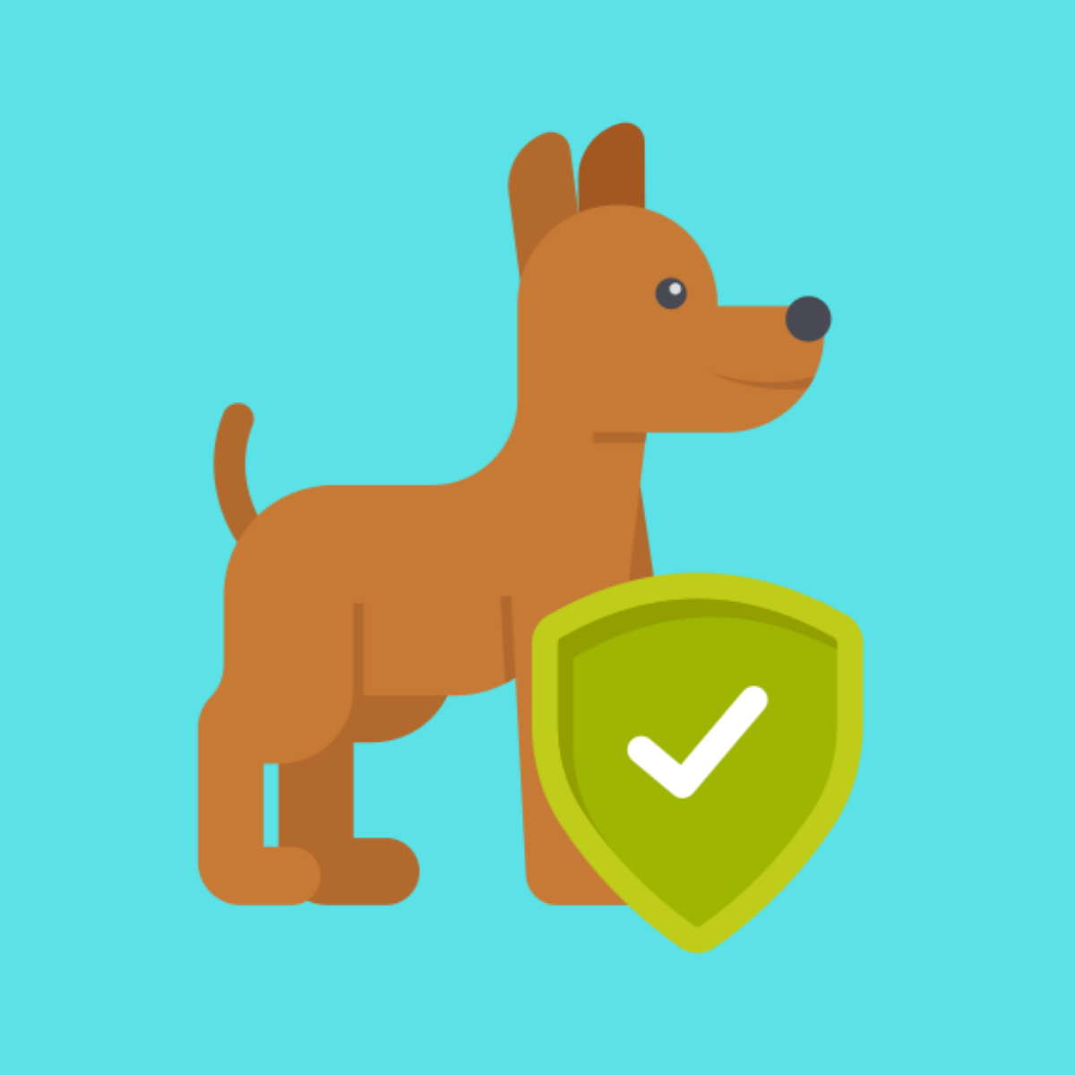 Best Pet Insurance Companies Loans Canada