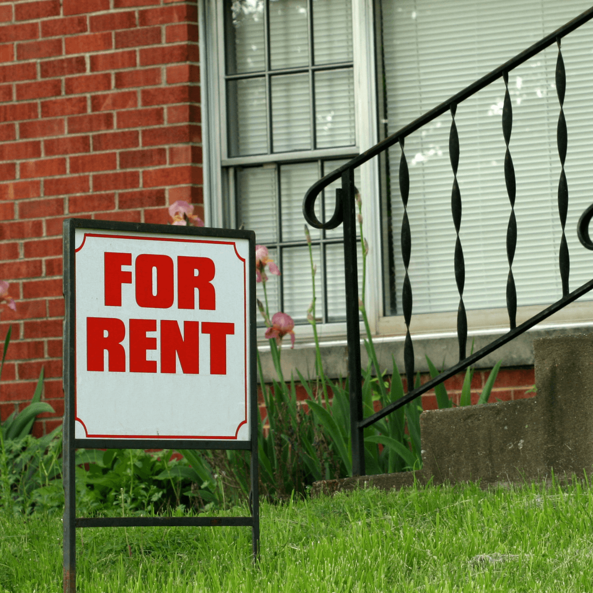 Zimbabwe Rent Board Rules And Regulations