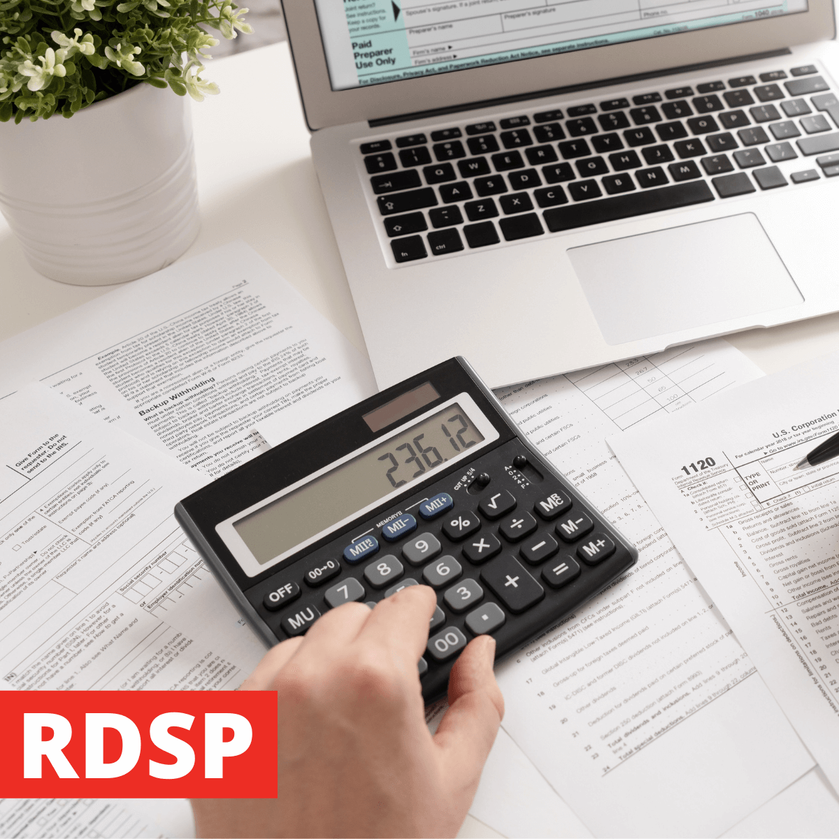https://loanscanada.ca/wp-content/uploads/2021/12/The-Registered-Disability-Savings-Plan.png