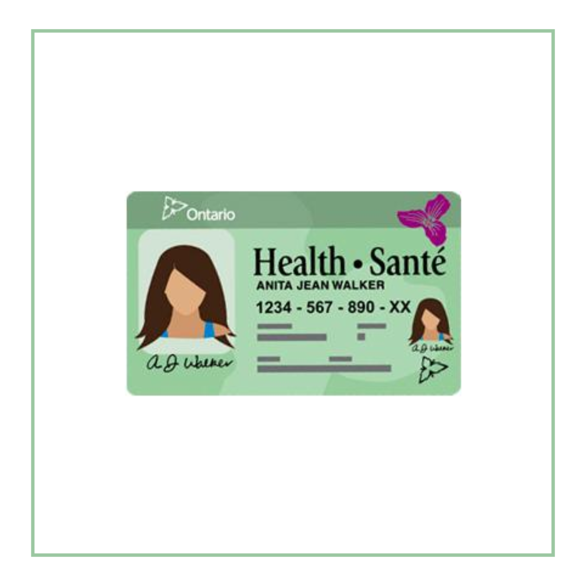 Добавить карту health. Карты Health Card. Health sante Ontario. Health Card зарубежные. Карта Health Card Канады.