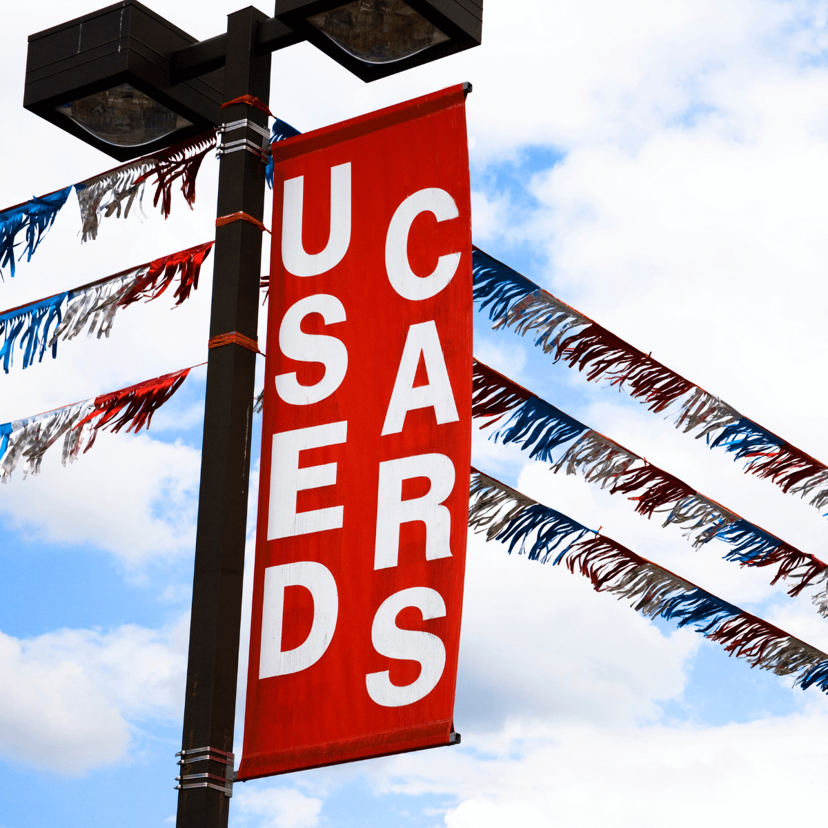 Can You Lease A Used Car In Canada Loans Canada